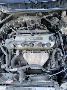 Honda Accord (6 foto / 6)