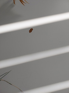 Söögilaud 180×90 h74 (3 foto / 4)