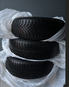 Goodride Z401 205/55 R17 95V XL, 3PMSF (1 foto / 1)