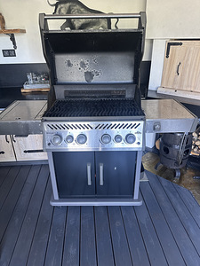 Gaasigrill Napoleon (3 foto / 4)