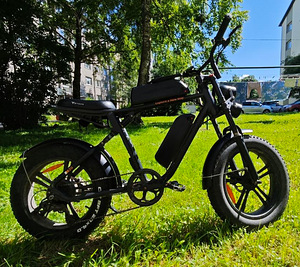 Электровелосипед Engwe M20 (3 фото из 5)