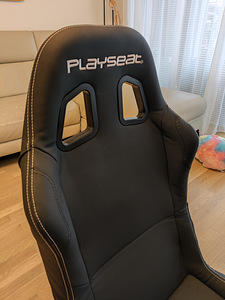 Playseat + Thrustmaster T150 komplekt (5 foto / 6)