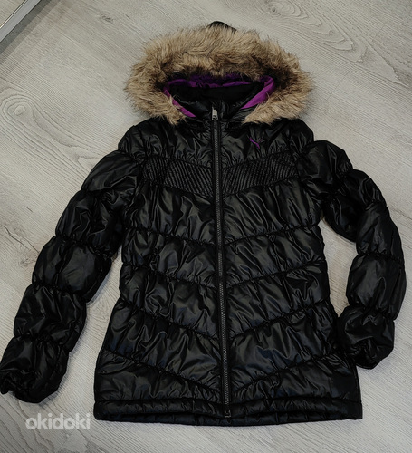 Puma jope s.152