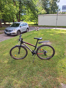Noorte jalgratas 9- 18 (1 foto / 2)