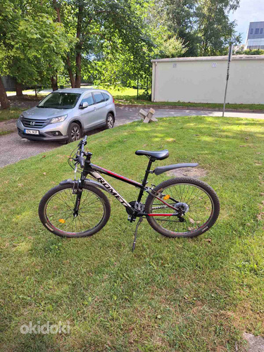 Noorte jalgratas 9- 18