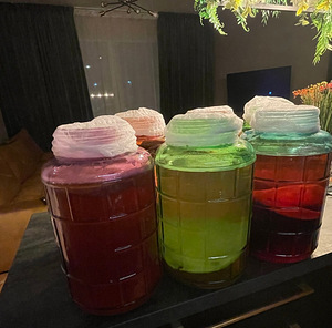 Kombucha musta tee peal (1 foto / 2)