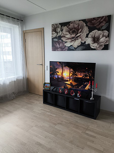 Liikuri tn 5b, Lasnamäe, Tallinn, Harjumaa (11 foto / 28)