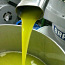 Итальянское свежее оливковое масло холодного отжима 2022 (фото #2)