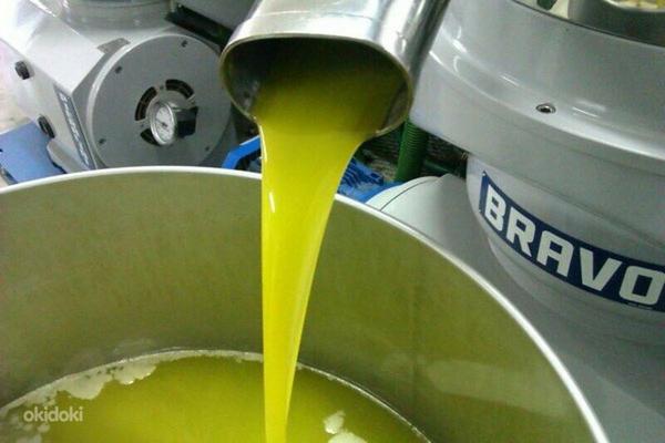 Итальянское свежее оливковое масло холодного отжима 2022 (фото #2)