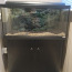 Juwel akvaarium, 120 liitrit. (foto #1)