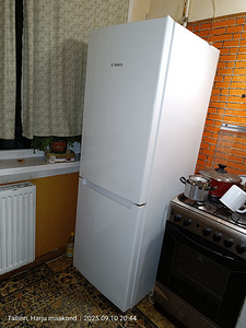Külmkapp BOSCH (KGN33NW30) (1 foto / 4)