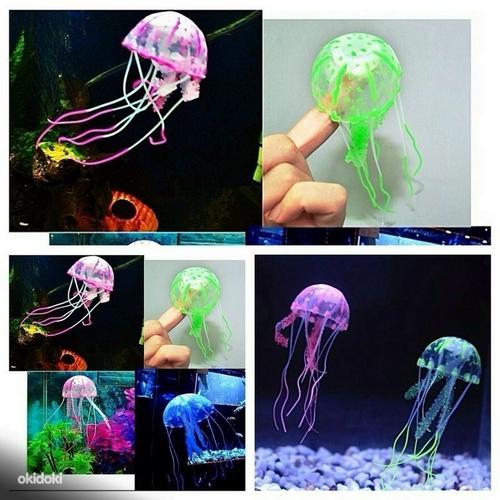 Akvaarium: kunstilised silikoonist erksad meduusid (foto #2)