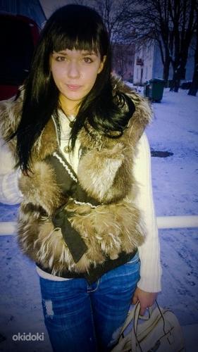 Hõbe rebane vest
