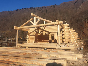 Бревенчатый дом из круглого бревна и клеенного бруса (2 фото из 8)