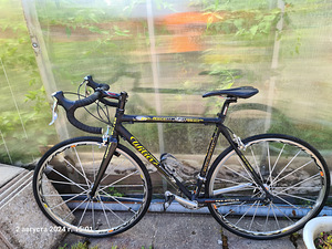 Müün maantejalgrattas Wilier Trestina (1 foto / 3)