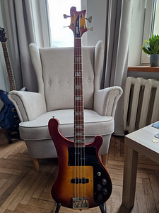 Jolana D bass (1 foto / 2)
