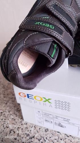 Новые в/о тёплые ботинки Geox Savage, размер 29 - 18,7cm (фото #3)