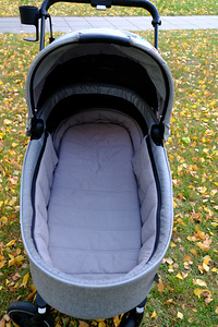 Cybex Priam Lux vankrikorv Fashion Koi (6 foto / 8)