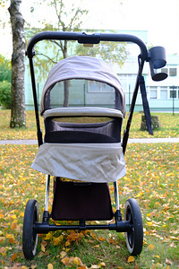 Cybex Priam Lux vankrikorv Fashion Koi (7 foto / 8)