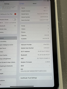 Apple iPad mini 7 (2024) 256GB WiFi + Cellular, Uueväärne! (4 foto / 9)