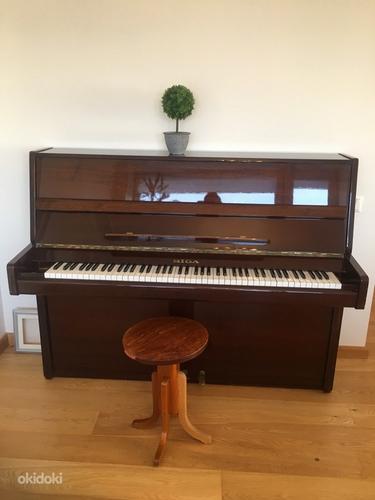 Klaver RIGA kohaletoimetamine Tallinnas on hinna sees (foto #3)