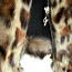 Guess леопардовый стильный жилет мех кролика -вязка, S-M (фото #5)