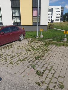 Idapõllu tee, Haabneeme, Viimsi vald, Harjumaa (1 foto / 2)