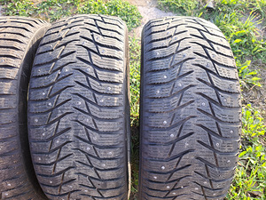 205/55 r16 Sailun ice blazer (2 foto / 6)