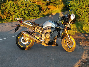 Yamaha FZS1-S, с 2007 года. (8 фото из 9)