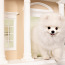 Koeramaja oma pisikesele Chihuahua (foto #2)