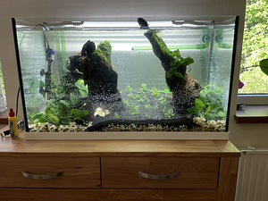 Akvaarium EHEIM 125L. Lamp+välispump (5 foto / 10)