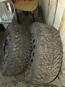 205/55/R16 Goodyear naastrehvid (6 foto / 6)