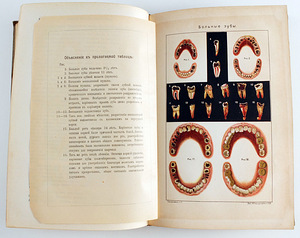 1908 Tsaariaegne raamat TERVIS (7 foto / 8)
