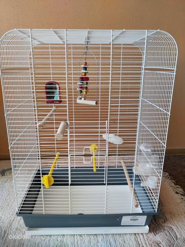 Linnupuur lisadega Клетка для попугая с игрушками (фото #1)