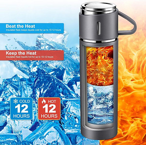 Termos 500 ml tassi ja käepidemega TOPAHGOD (7 foto / 7)