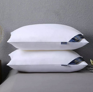LOT! UUS Linenspa padi, 48x74cm, 2tk, valge (1 foto / 10)