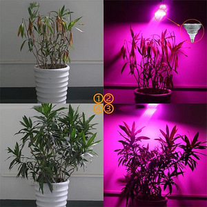LOT! InnoGear E563 LED kasvuvalgusti, 20 W (8 foto / 9)