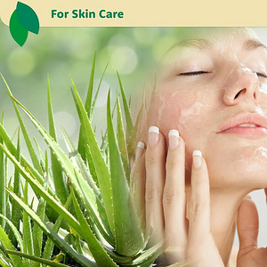 LOT! ecla SKIN CARE aloe vera geel kehale, 240 ml (5 foto / 7)