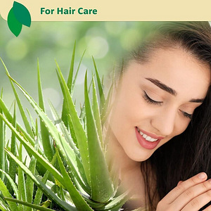 LOT! ecla SKIN CARE aloe vera geel kehale, 240 ml (7 foto / 7)