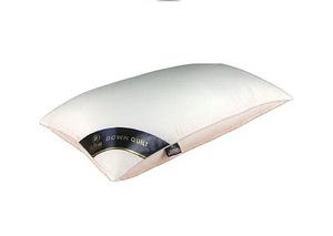 LOT! UUS Padi Hilton unepadi 48x74 cm, 650 g,