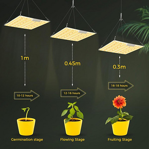 LOT! UUS Bosytro LED lamp taimedele (6 foto / 9)