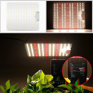 LOT! UUS Vayalt 001 LED taimelamp (5 foto / 5)