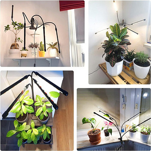 LOT! UUS Taimelamp Wolezek BL-J20B (6 foto / 9)