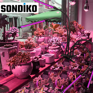 LOT! Sondiko LED taimelamp (5 foto / 10)