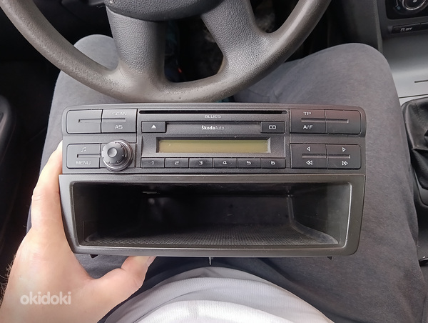 Skoda octavia a5 Audio Blues