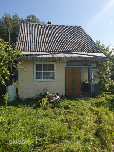 Arumäe AÜ 35, Arumäe, Narva-Jõesuu linn, Ida-Virumaa