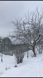 Kasvuhoone (5 foto / 8)
