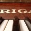 Riga klaver (foto #1)