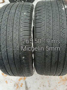 265 50 19 мс (1 фото из 1)