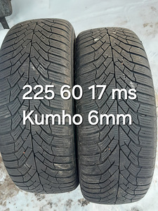 225 60 17 ms шипы (2 фото из 3)